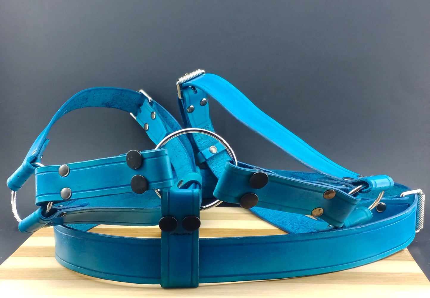 Leather Harness Type 2 - Removable Ring - Blue with Black/Silver Hardware