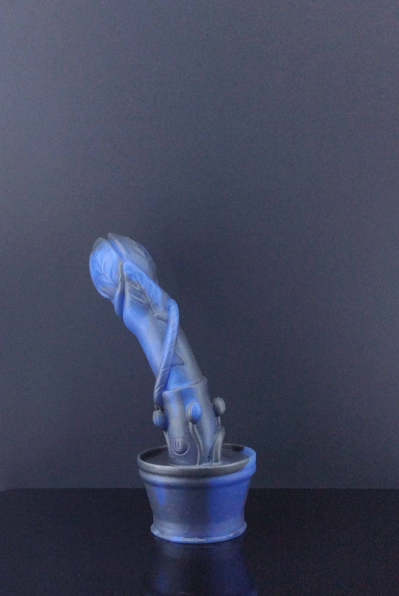 Aubrey the Plant - Black and Blue - Medium - 00-30 Firmness