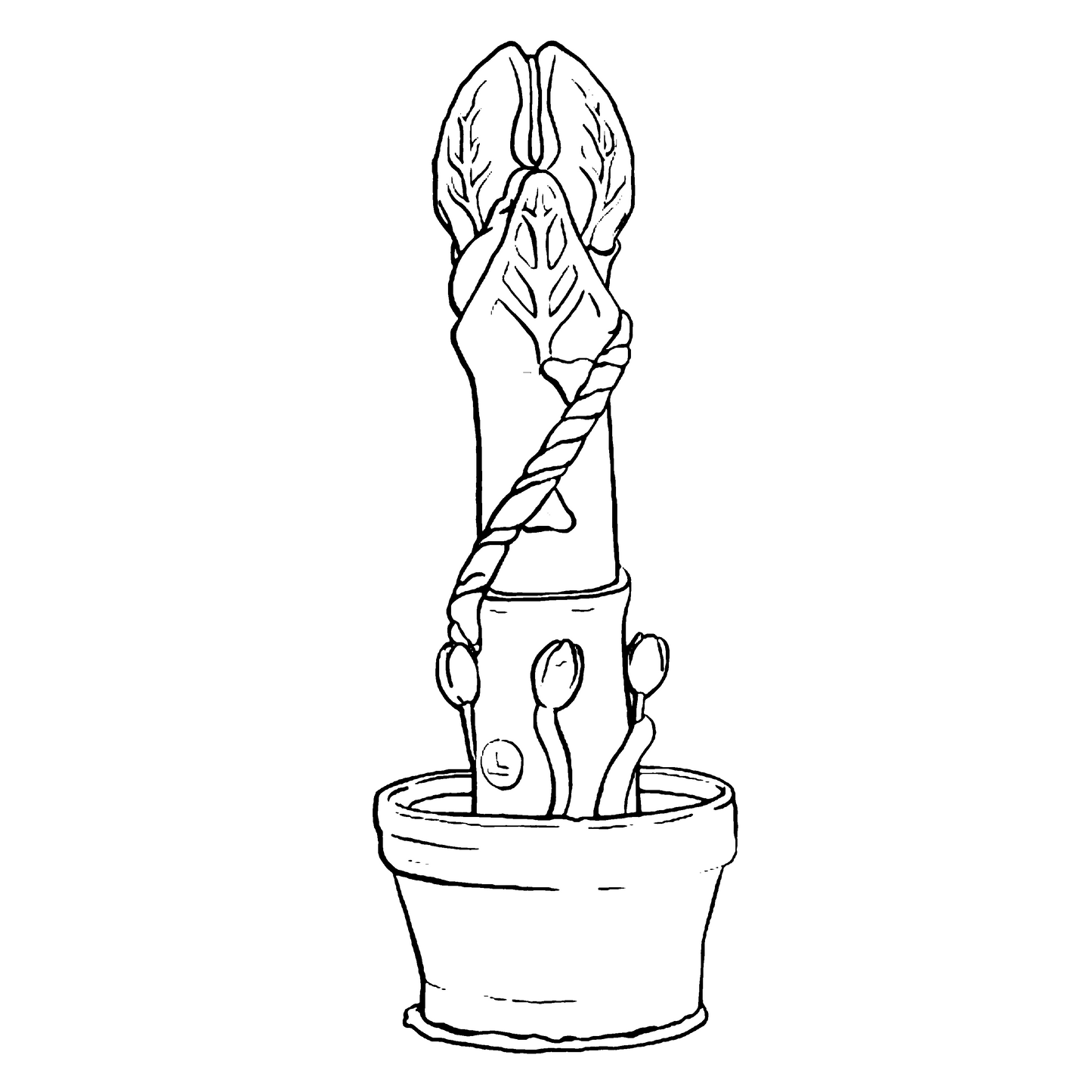 Line Art for Aubrey the Plant