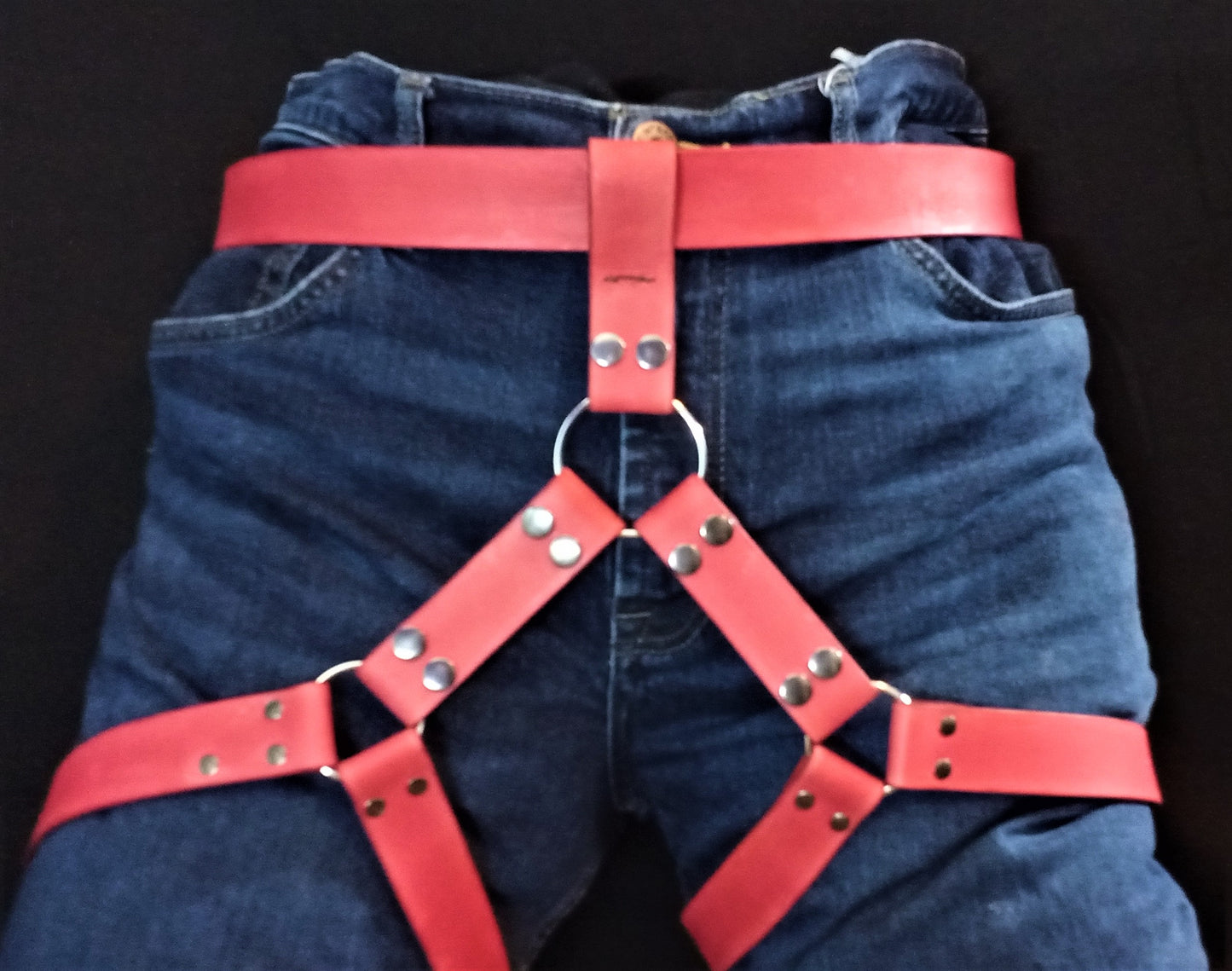 Leather Harness Type 2 - Removable Ring - Blue with Black/Silver Hardware